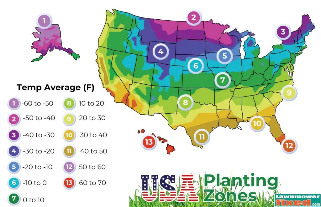 When and What to Plant in Each U.S. Zone: A Simple Gardening Calendar