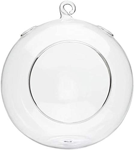 Mkono 2 Packs 6-Inch Round Hanging Glass Planter Air Plant Terrarium Globe for Succulent, Tillandsia, Gifts for Plant Lovers Thanksgiving Christmas Home Decor (Plant Not Included)