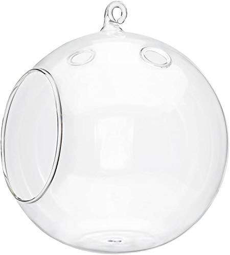 Mkono 2 Packs 6-Inch Round Hanging Glass Planter Air Plant Terrarium Globe for Succulent, Tillandsia, Gifts for Plant Lovers Thanksgiving Christmas Home Decor (Plant Not Included)