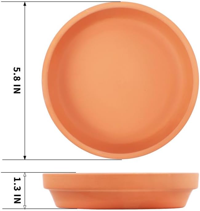 Fcacti 6 inch Middle Terra Cotta Plant Saucers, Round Pot Drip Trays,Durable Thicker Clay Plant Tray Flower Pot Saucers for Outdoors Indoors Flower Pots and Planters,Pack of 8
