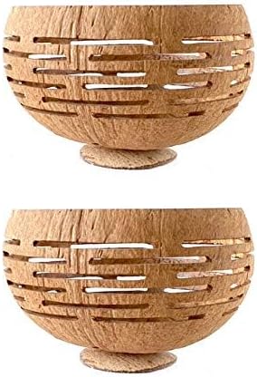 Set of 2 Horizons Coconut Planters w/Drainage Hole- Perfect for Succulents, Flowers, Small Plants, Indoor & Outdoor Gardens- Handcarved by Artisans, Eco-Friendly & Sustainable