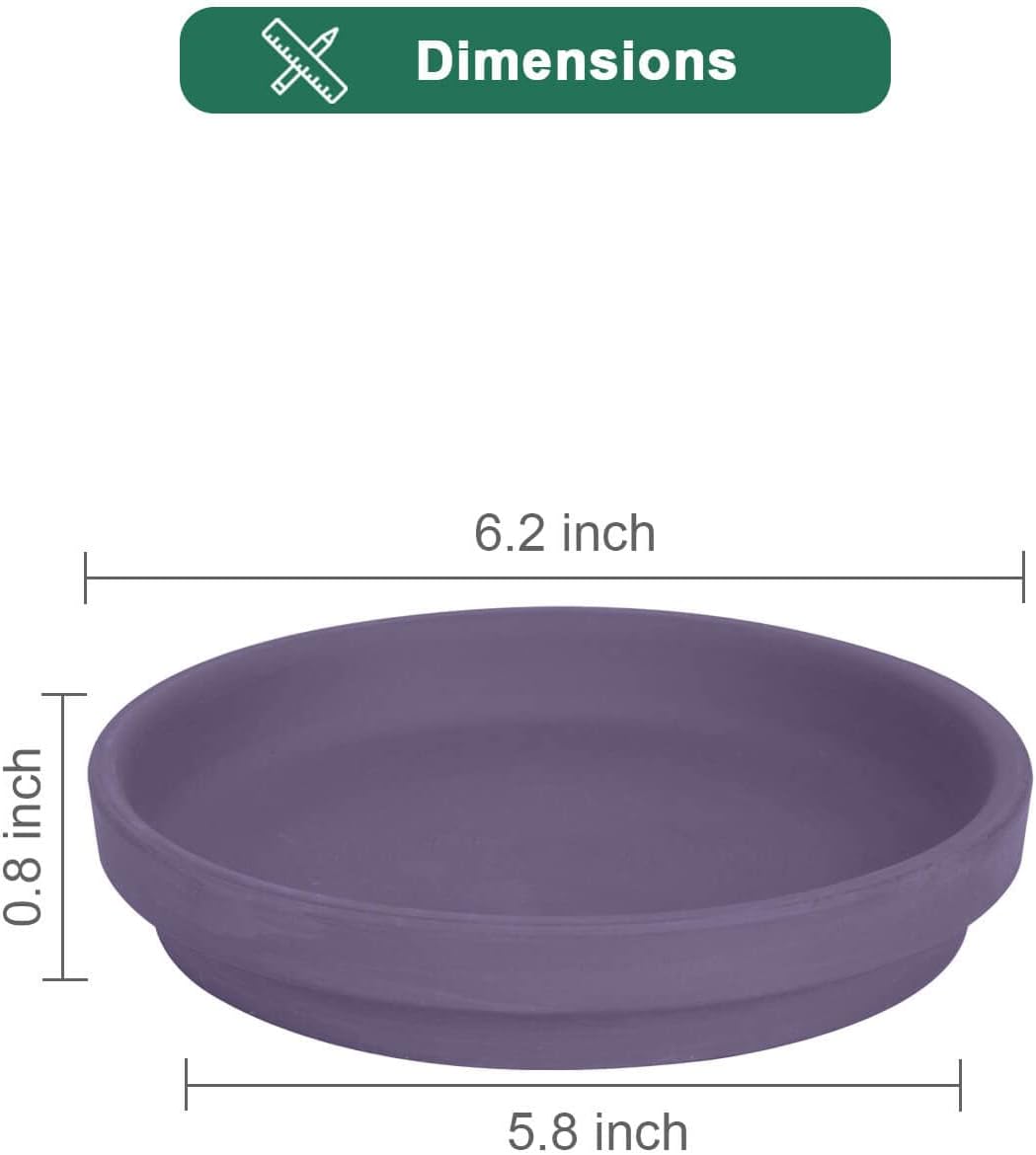 vensovo 6 Inch Purple Terracotta Plant Saucer Pots Tray - 6 Pcs Round Planter Saucers for Indoor & Outdoor Plants, Small Clay Trays Perfect for 5 Inch 5.5 Inch 6 Inch Flower Pot