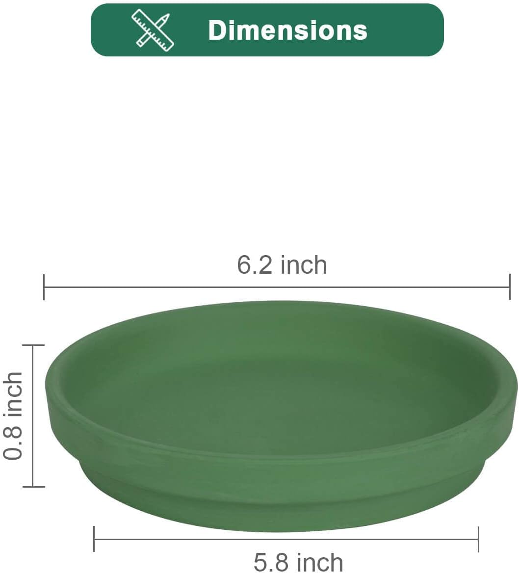 vensovo 6 Inch Green Terracotta Plant Saucer Pots Tray - 6 Pcs Round Planter Saucers for Indoor & Outdoor Plants, Small Clay Trays Perfect for 5 Inch 5.5 Inch 6 Inch Flower Pot