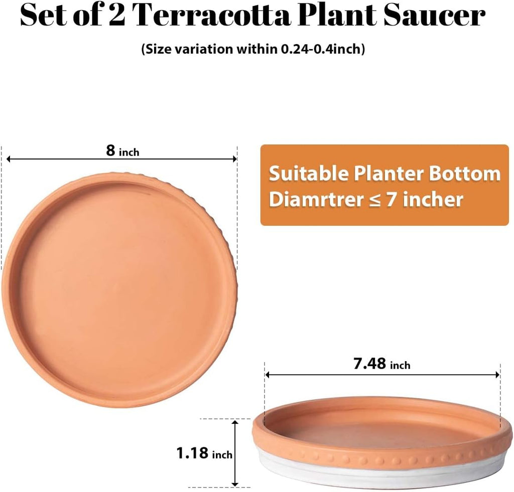 YBX 8-inch Plant Saucer Premium Terracotta Saucer Round Ceramic Plant Trays, Pack of 2 (White/Terracotta)