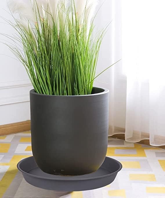 6 Pack of 7 8 inch Plant Saucer, Heavy Duty Plastic Plant Water Tray 8 inch Round, Flower Plant Saucers for Indoors No Holes, Plant Dishes Saucer for Planter 7"/8" (8", Cement Gray)