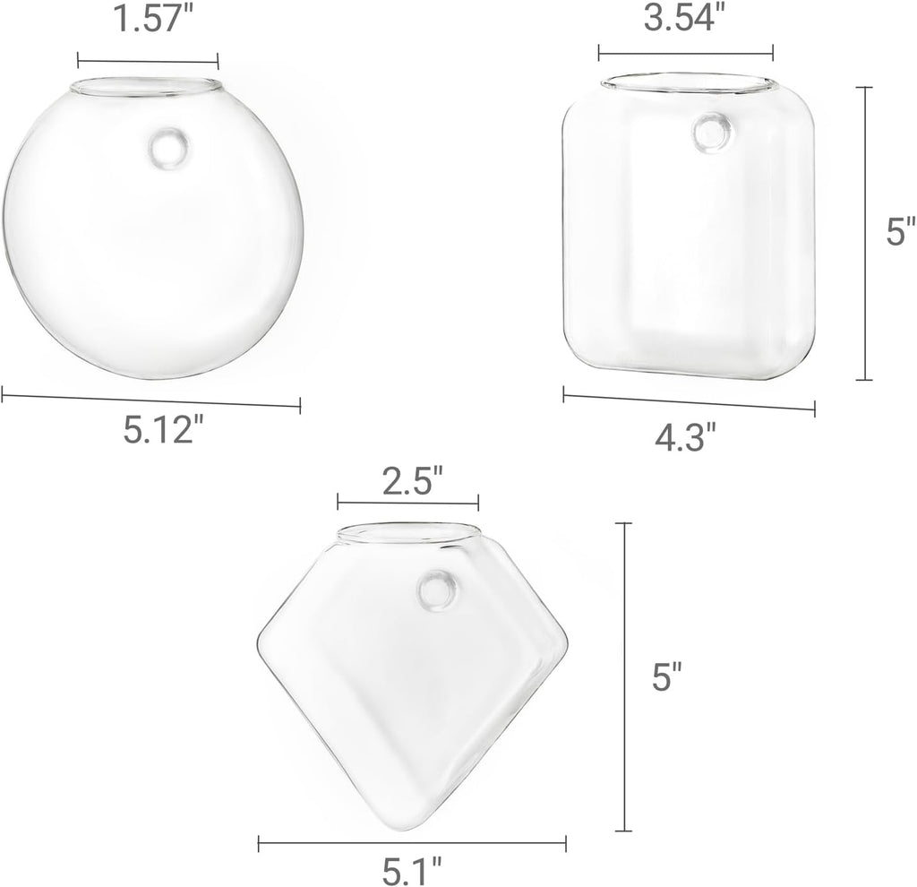 Mkono Wall Planter Propagation Stations Hanging Glass Terrariums Vase Container for Propagating Hydroponic Plants Flowers Home Office Living Room Bathroom Garden Decor, 3 Pack