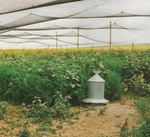 Poultry Netting 1" or 2" Mesh Heavy Knotted Nets Aviary Gamefowl Quail Chicken Bird Block Net Long Lasting Break/Burst 85/245 lb Polyethylene 8-10 Year Lifespan (50' X 100', 1)