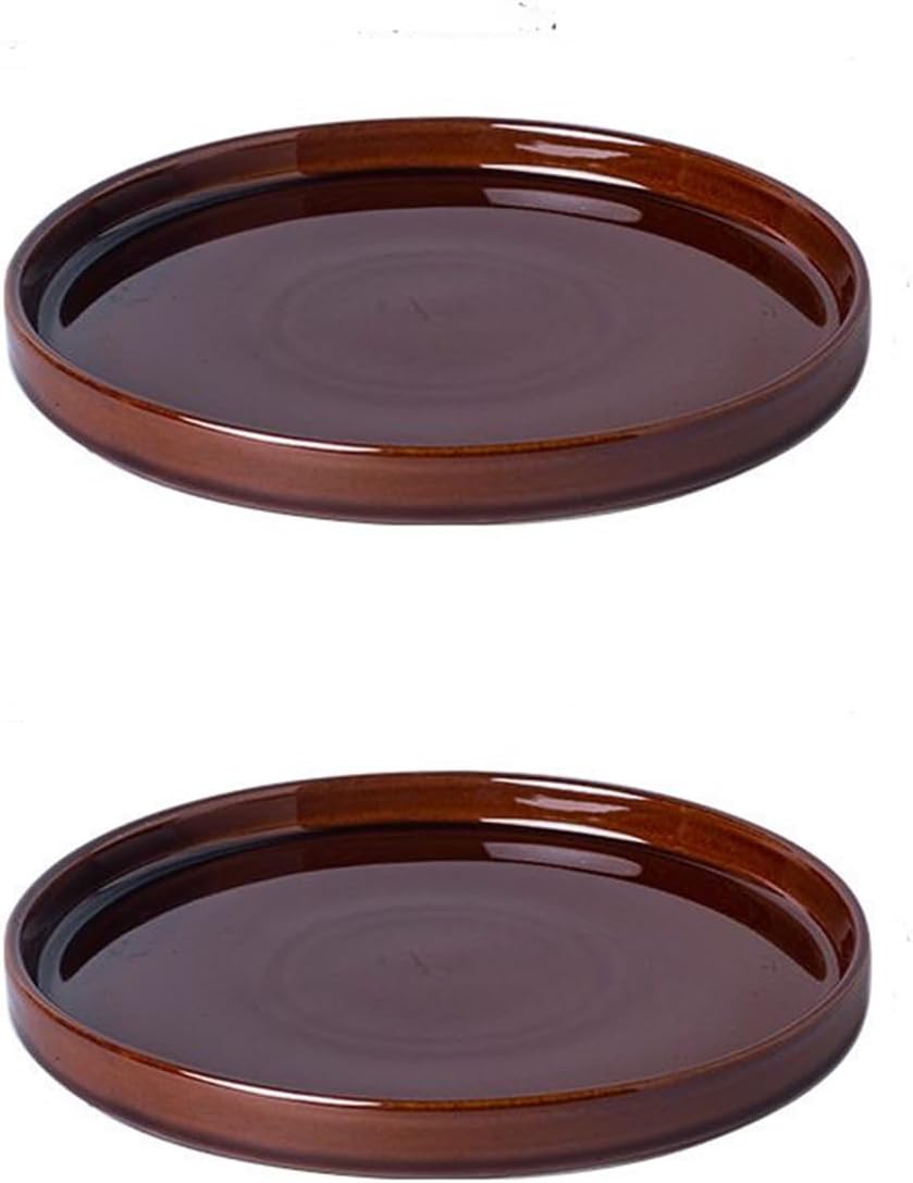 Ceramic Plant Saucer 5 Inch, 2 Pack Round Plant Saucers for Indoors/Outdoors, Flower Pot Saucers for Holding Water Drips, Ceramic Plant Water Trays for pots Planter, Bird Bath Bowls (Brown)