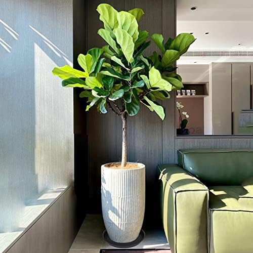 4 Pack of 16 inch Plant Saucer (13.5" Base), Heavy Duty Plastic Plant Tray for Pots, Flower Water Trays for Indoors, Bird Bath Bowls, Plant Drip Saucers for Planter 14"/15"/16" (Black)