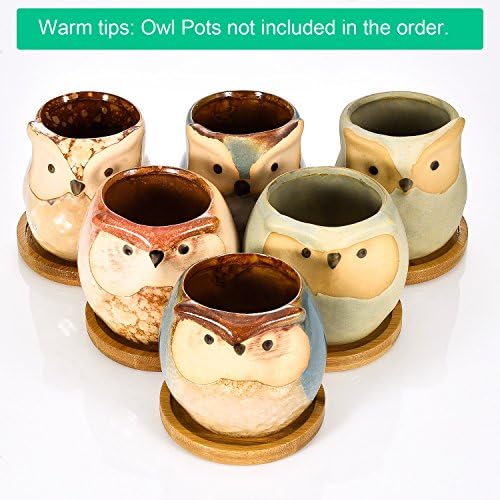 Frienda Trays 2.52 Inch Bamboo Round Plant Saucer for Most Plant Pot Flower Saucers Tray, Solution for Owl Pot with Hole(6 Pack)