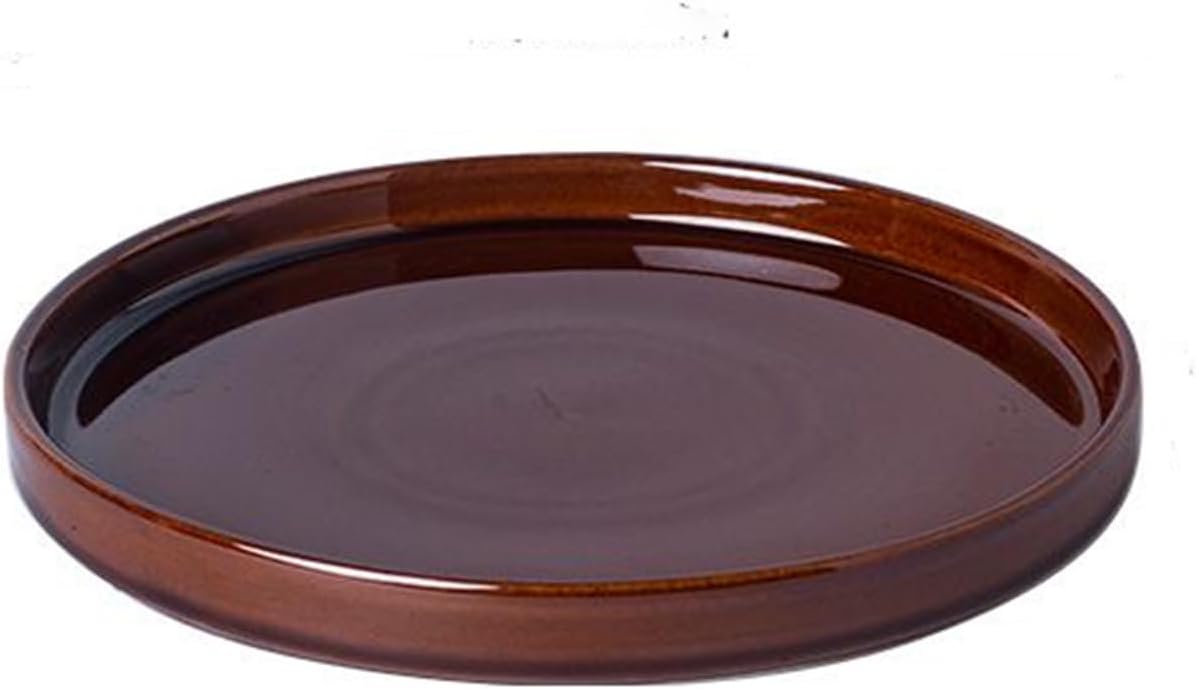 Ceramic Plant Saucer 10 Inch, Round Plant Trays for Indoors/Outdoors, Flower Pot Saucers for Holding Water Drips and Soil, Ceramic Drainage Tray for Plant Pot (Brown)