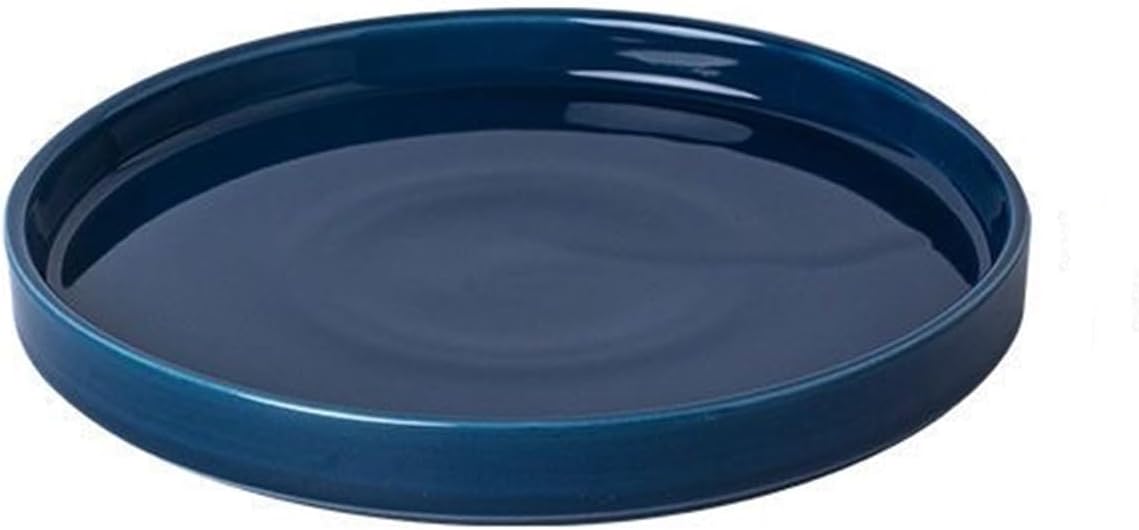 Ceramic Flower Pot Saucers, 9 Inch Plant Pot Saucers for Indoors Plants, Plant Trays for Pots Holding Water Drips and Soil, Drainage Tray for Plant Pot (Blue)