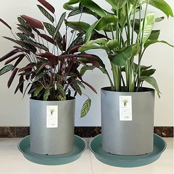 6 Pack of 10 inch Plant Saucer Bird Bath Bowl, Heavy Duty Plastic Plant Saucer 10 inch Round, Durable Plant Tray for Pots, Plant Saucers for Indoors, Plant Trays for Planter (10", Green)