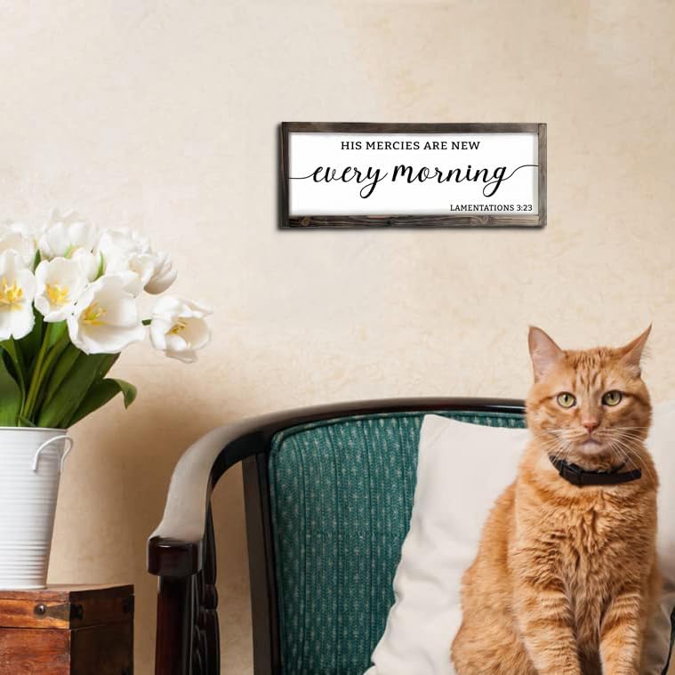 Dazingart Farmhouse Bible Verse Sign, His Mercies Art New Every Morning, Scripture Wall Decor Baptism Lord Is Faithful Sign (Every Morning)