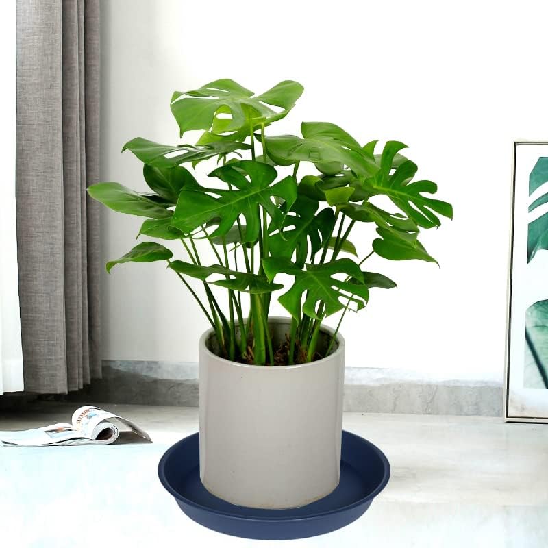 6 Pack of 8 inch Plant Saucer Blue, Plastic Plant Water Tray 8 inch Round, Flower Plant Saucers for Indoors, Dlant Dishes Saucer for Planter 7"/8" (8", Blue)