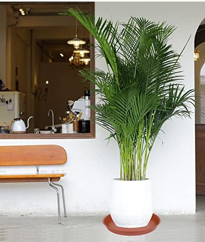 4 Pack of 16 inch Plant Saucer, Heavy Duty Plastic Saucer 16" Round, Plant Trays for Pots, Flower Plant Saucers for Indoors, Plant Trays for Planter 14"/15"/16" (16 inch, Terracotta)