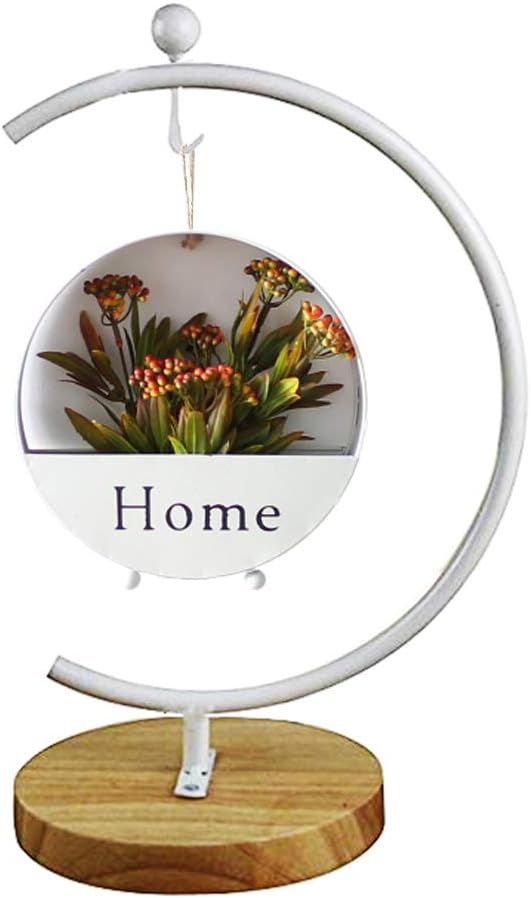 Archi G-Shaped Ornament Display Stand Iron Pothook Stand for Hanging Glass Terrarium/Picture with Wood Base(G Shape-White)