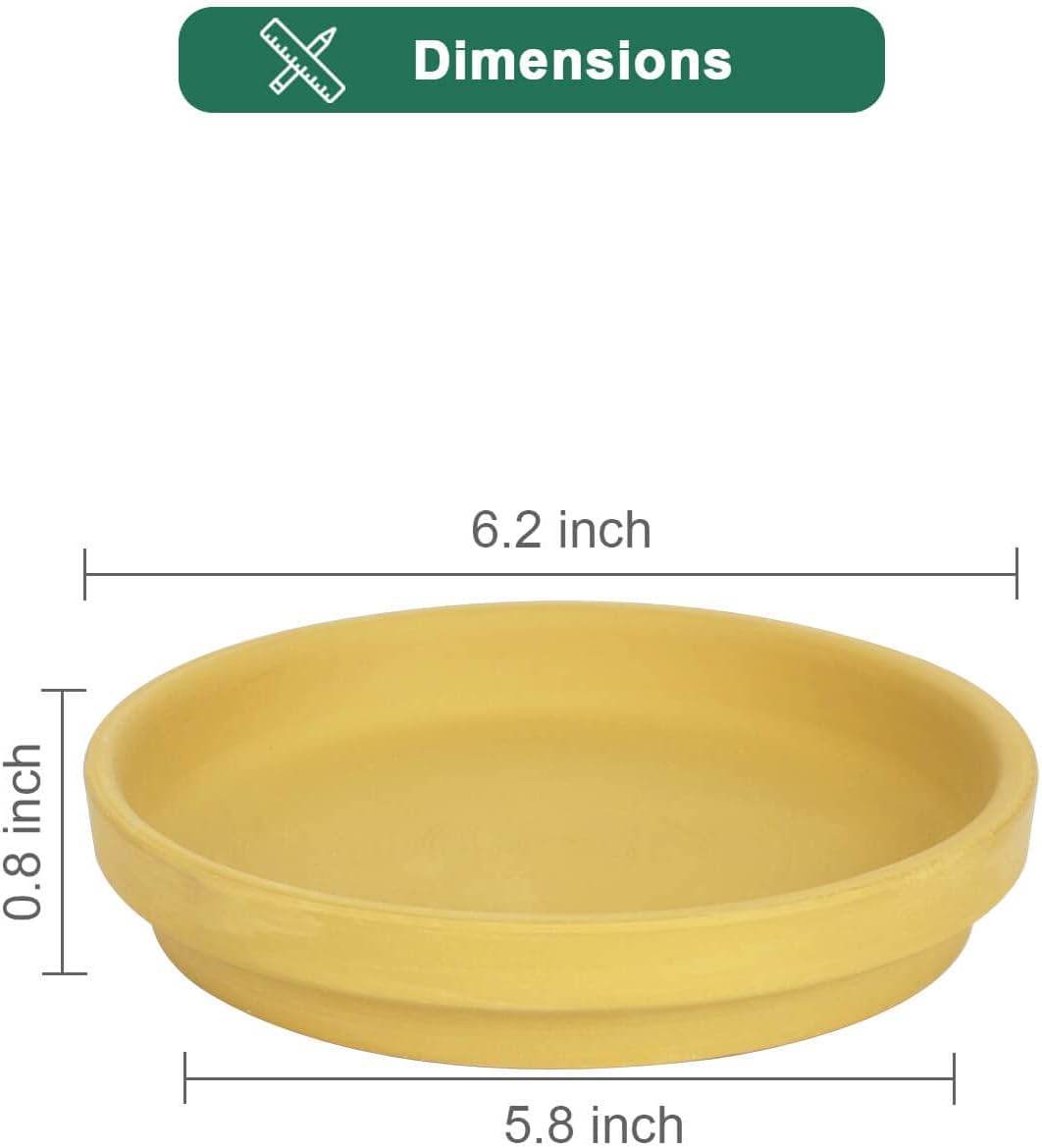 vensovo 6 Inch Yellow Terracotta Plant Saucer Pots Tray - 6 Pcs Round Planter Saucers for Indoor & Outdoor Plants, Small Clay Trays Perfect for 5 Inch 5.5 Inch 6 Inch Flower Pot