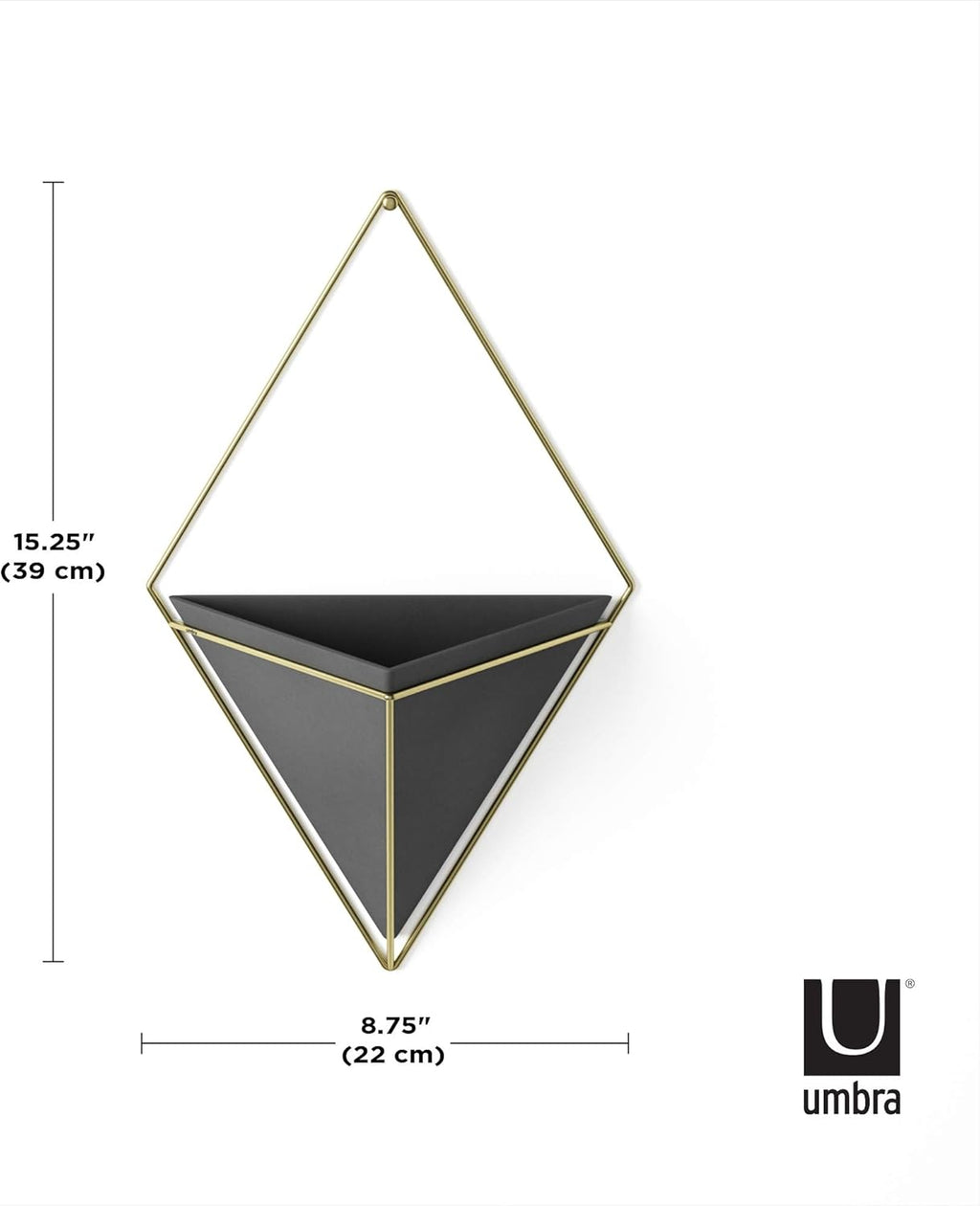 Umbra Trigg Hanging Planter Vase Wall Decor, Pot and Container for Succulents, Cactus, Faux Plants, and More, Large, Black/Brass