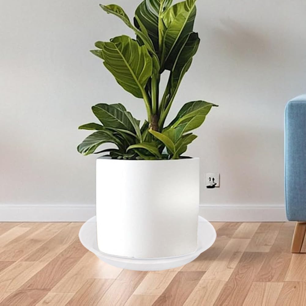 Plant Saucer Pot Tray 10 inch, 2 Packs Clear Plastic Flower Planter Saucers and Drip Trays for Indoors, Heavy Duty Plant Drip Trays Saucers, Plant Plate Water Catcher