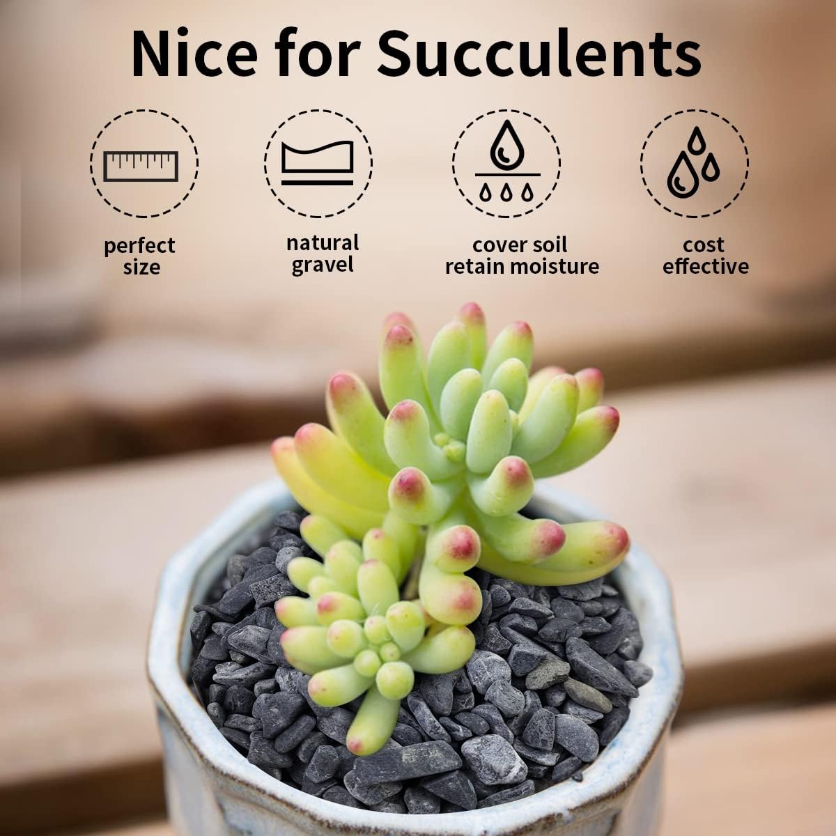 10LB Black Pea Gravel for Landscaping, 3/8 Inch Black Pebbles for Plants Cactus Succulent Fish Tank and Garden Black Stones