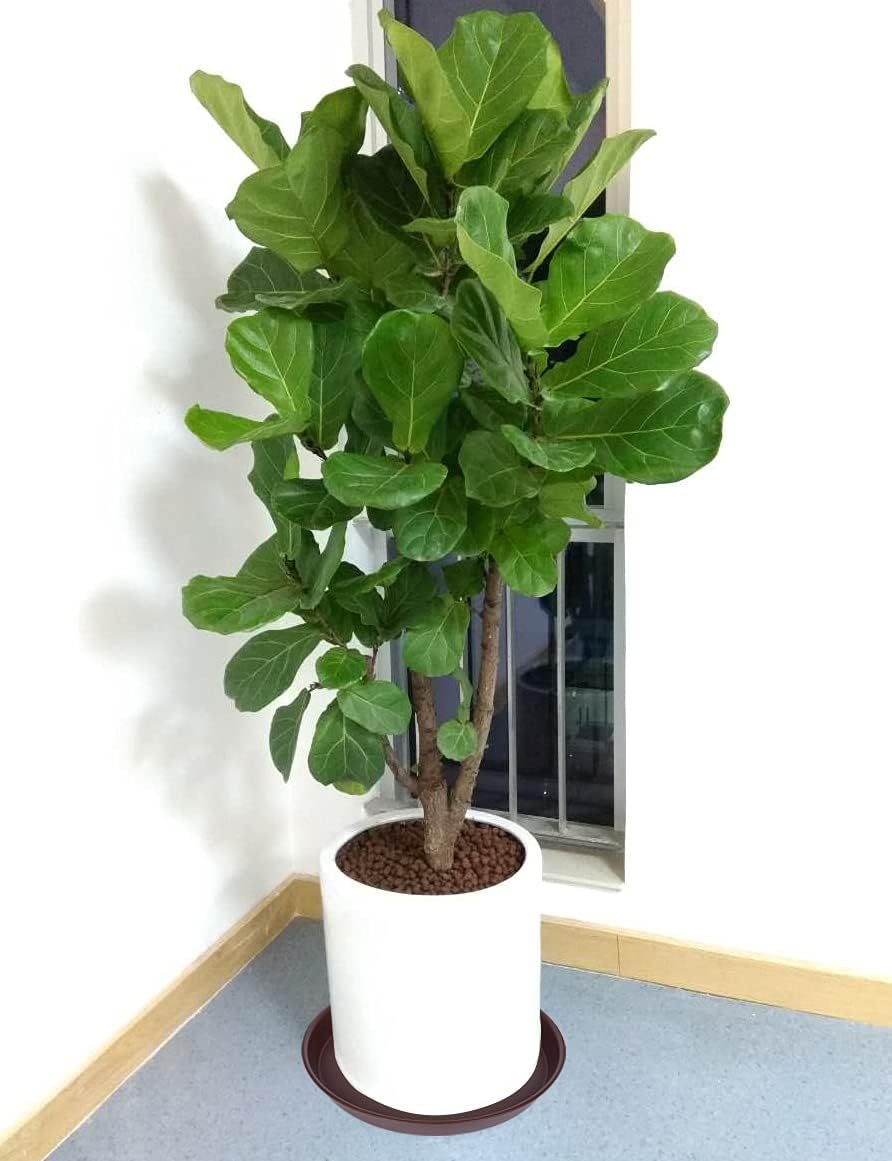 2 Pack of 14 inch Plant Saucer, Heavy Duty Round Plant Trays for Pots, Plastic Plant Water Tray, Bird Bath Bowls, Plant Saucers for Indoors, Pot Drip Trays for Planter 12-14" (14", Chocolate)