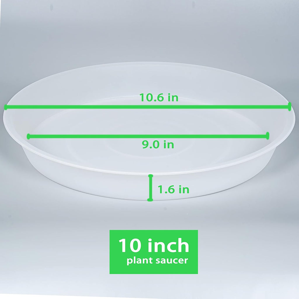 6 Pack of 10 inch Plant Saucer Clear, Heavy Duty Plastic Plant Saucer 10 inch, Durable Plant Tray for Pots, Flower Plant Saucers for Indoors, Plant Trays for Planter 8"/9"/10" (10", Clear)