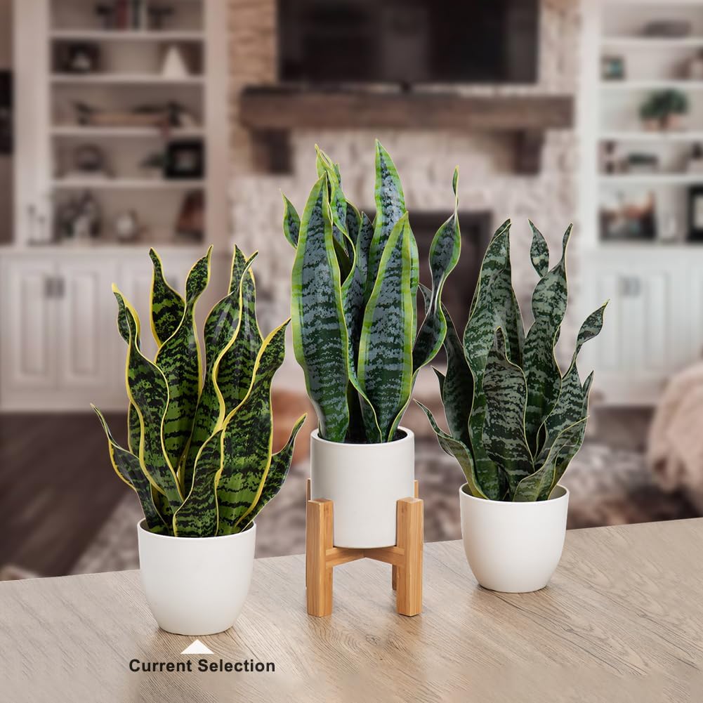 Hollyone Artificial Snake Plant Potted Faux Sansevieria Trifasciata Plants, 16.5" Tropical Fake Snake Plants in White Pots for Home Office Room Indoor Decor Housewarming Gifts