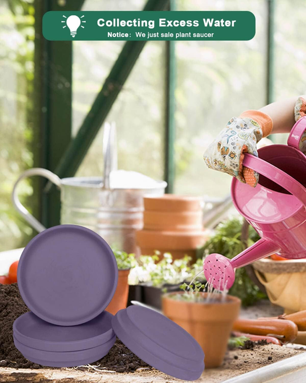 vensovo 8 Inch Purple Terracotta Plant Saucer Pots Tray - 4 Pcs Round Planter Saucers for Indoor & Outdoor Plants, Large Clay Trays Perfect for 7 Inch 7.5 Inch 8 Inch Flower Pot