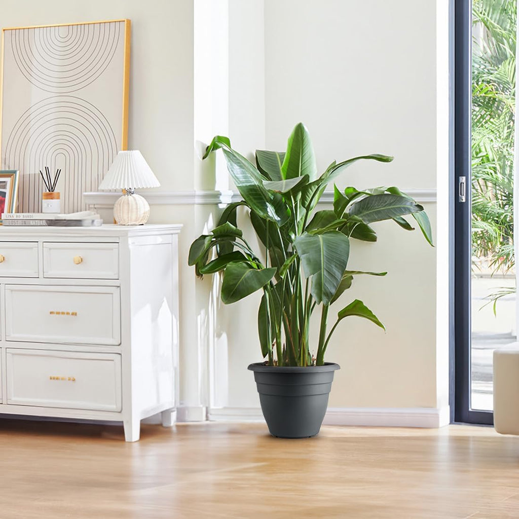 12 Inch Plant Pots, Large Planters for Outdoor Plants, Plastic Flower Pots - Durable and Lightweight with Drainage Holes (3 Packs, Gray)