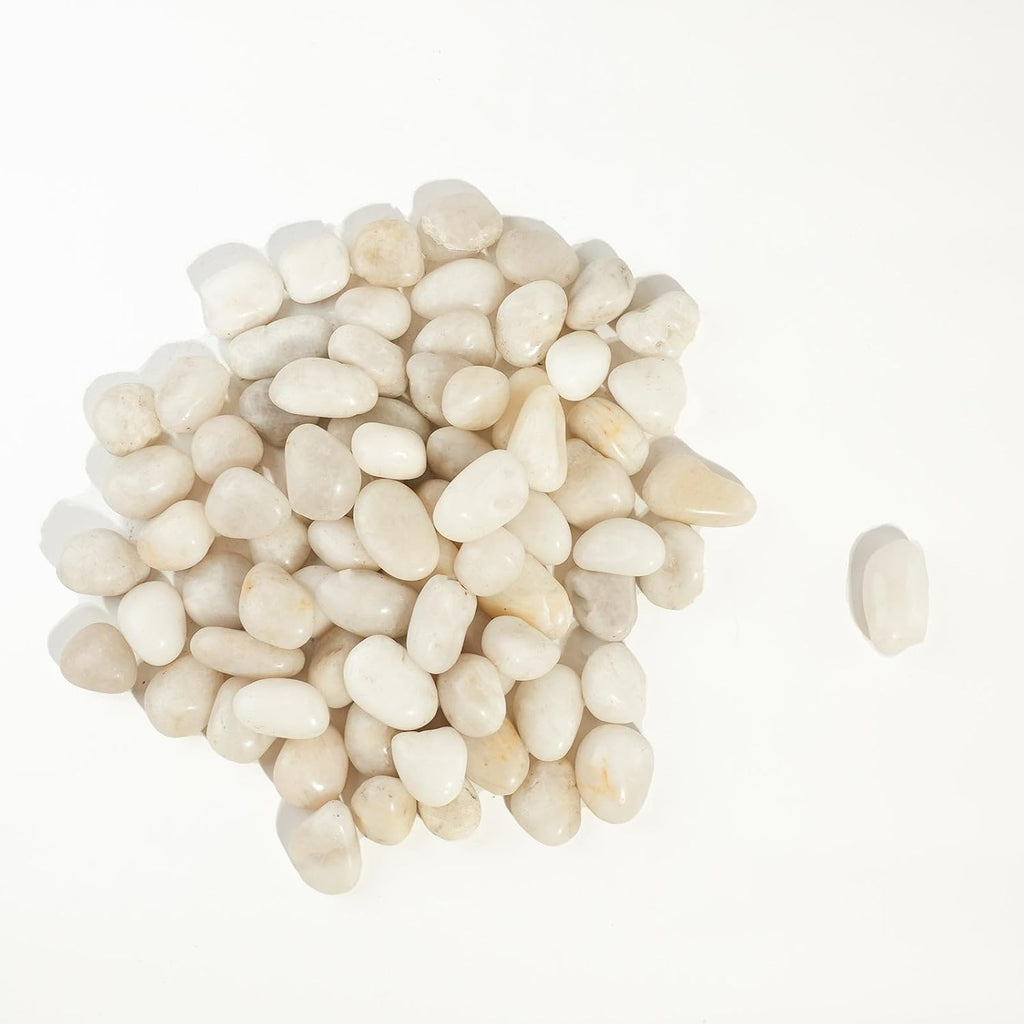 12 LBS River Rocks, StoneCreek, Decorative Garden Stones for Plant Landscaping, Polished Gravel Filler Pebbles for Home Decoration, Vases, Succulents, Flower Beds and Fish Tanks (White, Medium)