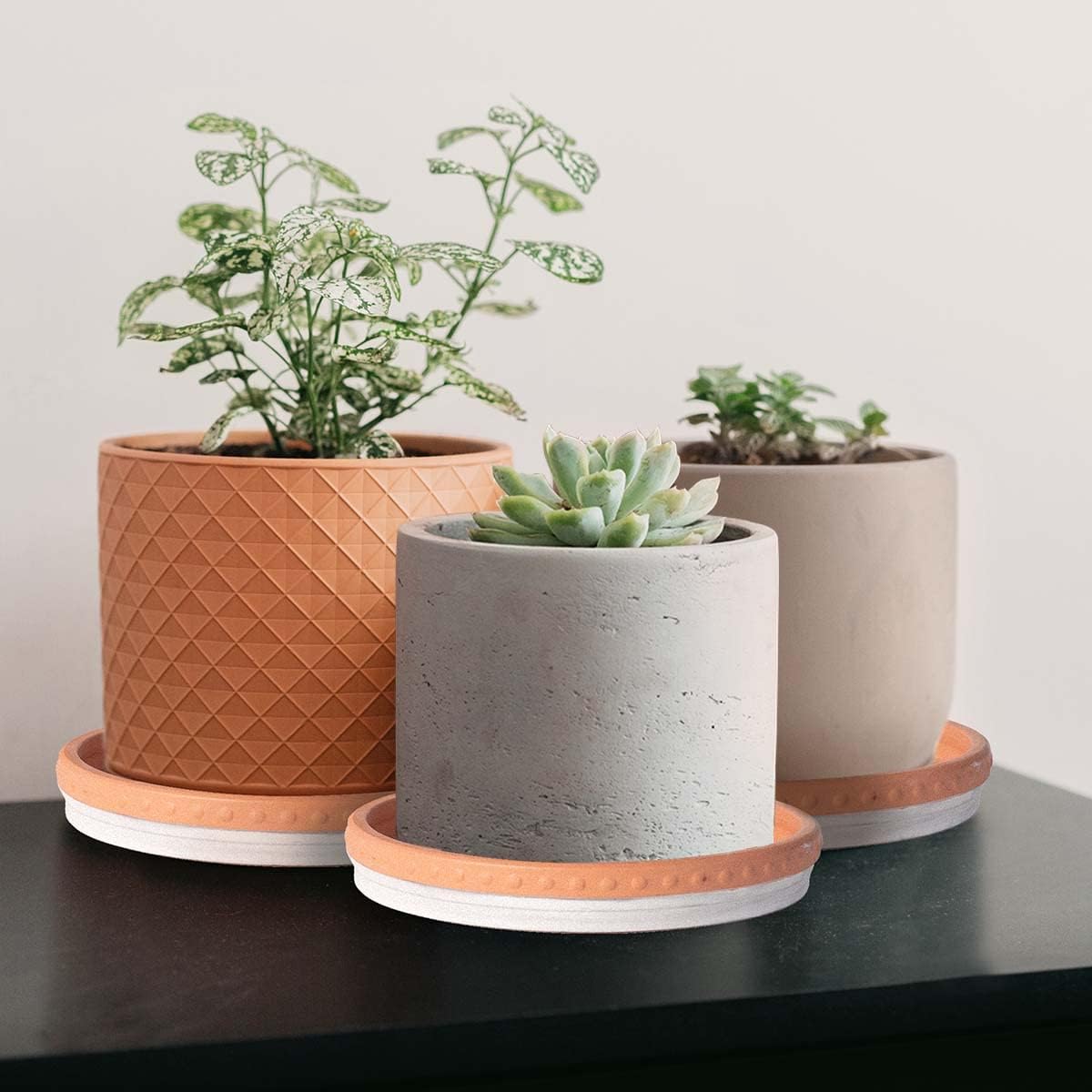 YBX 8-inch Plant Saucer Premium Terracotta Saucer Round Ceramic Plant Trays, Pack of 2 (White/Terracotta)