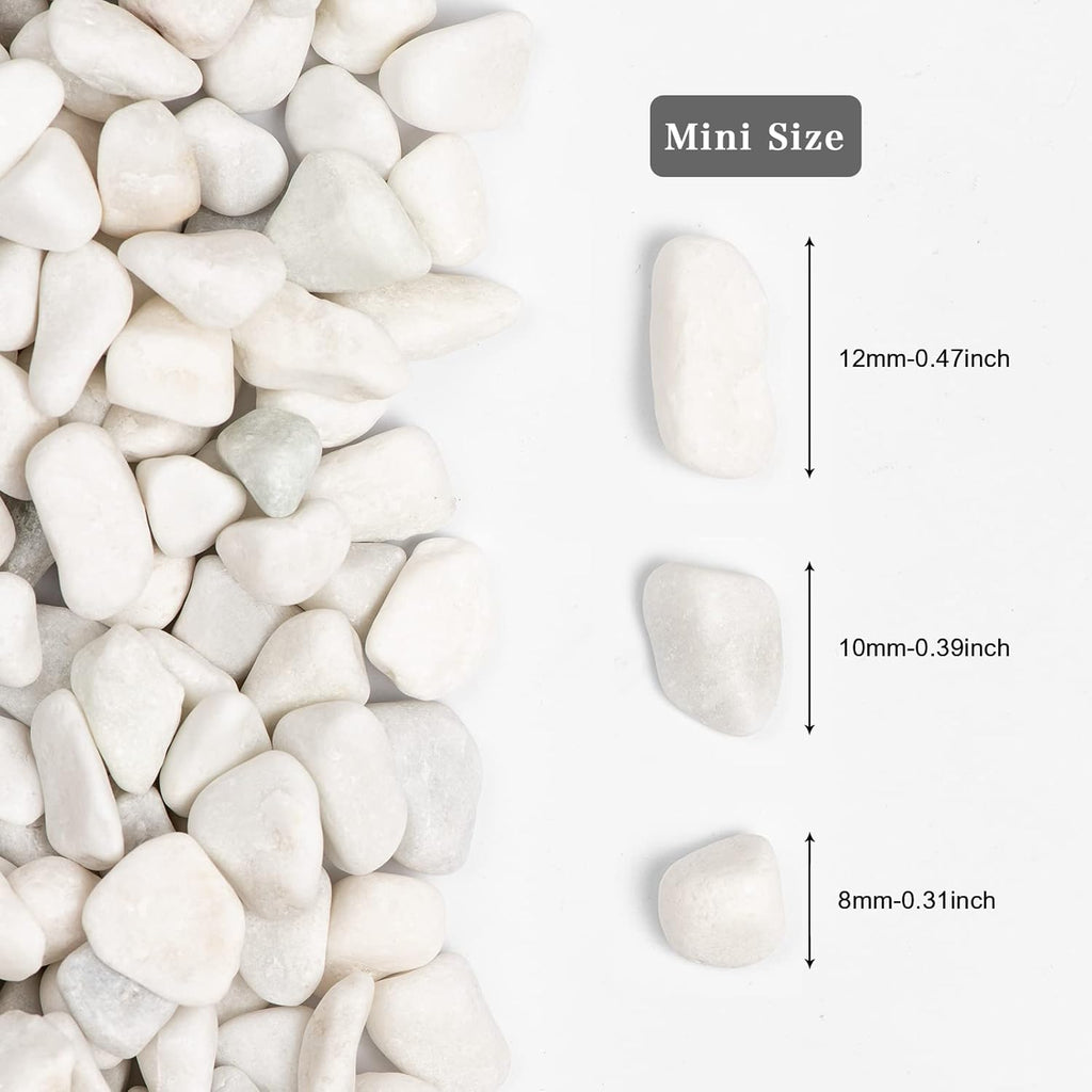 11lbs White Natural River Rocks, Polished Pebbles for Plants Garden, 0.3-0.8 inch Decorative White Stones, Ideal for Fish Tank, Vases, Crafting, Home Decor and Garden Landscaping Rocks,White