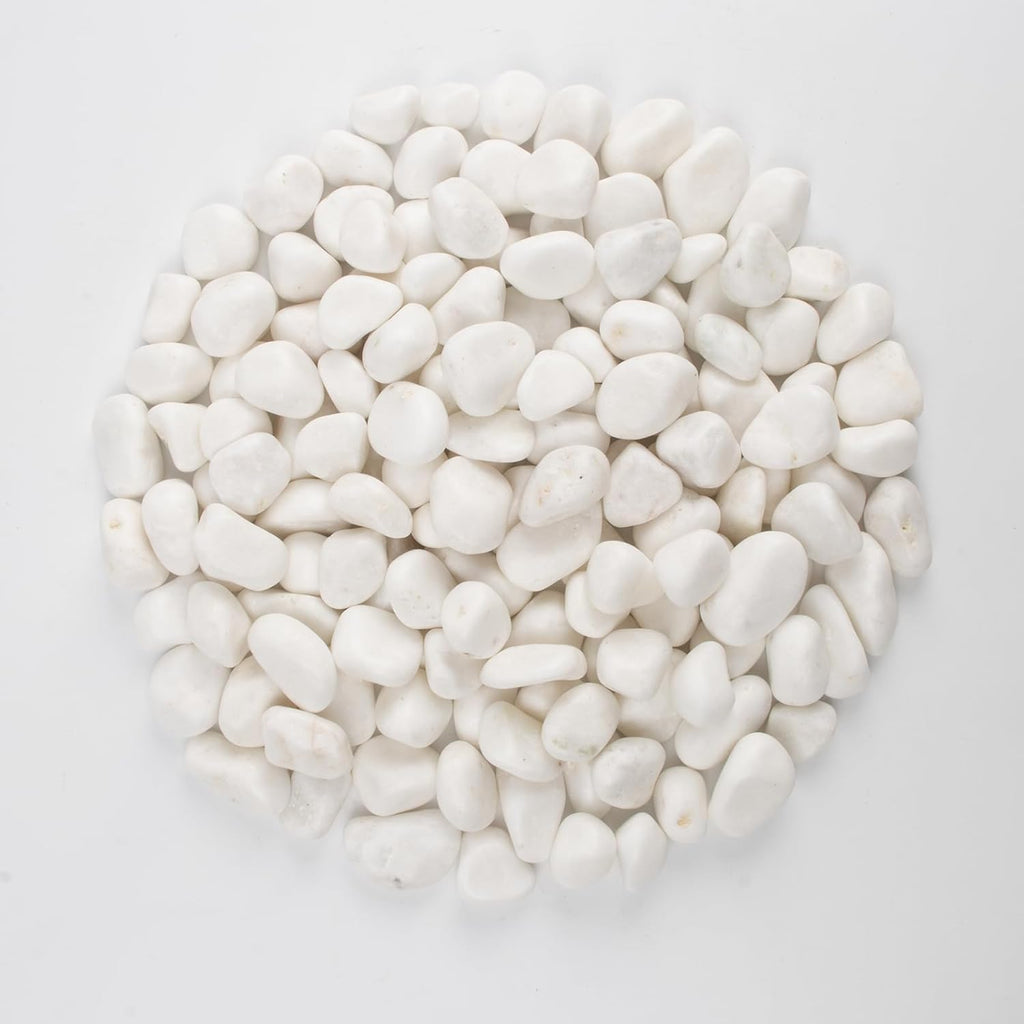 10 lbs White Polished Decorative Stones, 0.5-1 Inch Landscape Rocks for Indoor Plants, Garden, Outdoor Pathways, Vase Fillers, Pots, Glass Containers, and Craft Pro (Pure White, Weight: 10 LB)