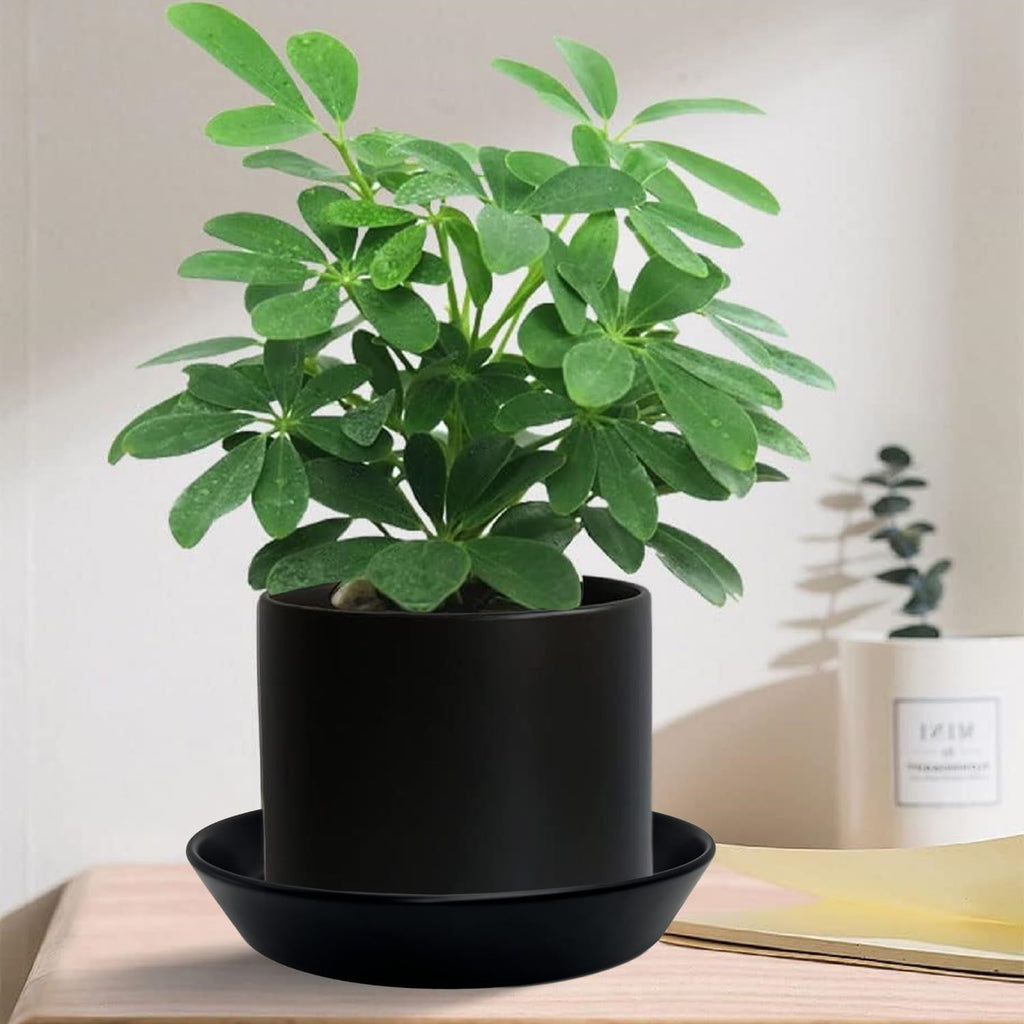 2 Pack 8 Inch Flower Pot Saucers - 9 Inch (8.7 Inch) Ceramic Plant Saucer for Outdoors & Indoors - Glazed Ceramic Plant Pot Trays for Water Drainage - Durable & Stylish Round Plant Tray