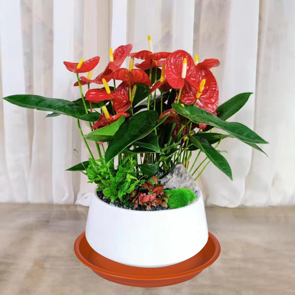 Plant Saucer Pot Tray 10 inch, 2 Packs Plant Drainage Trays, Plastic Flower Planter Saucers and Drip Trays for Indoors, Heavy Durable Plant Plate Water Catcher (Terracotta)