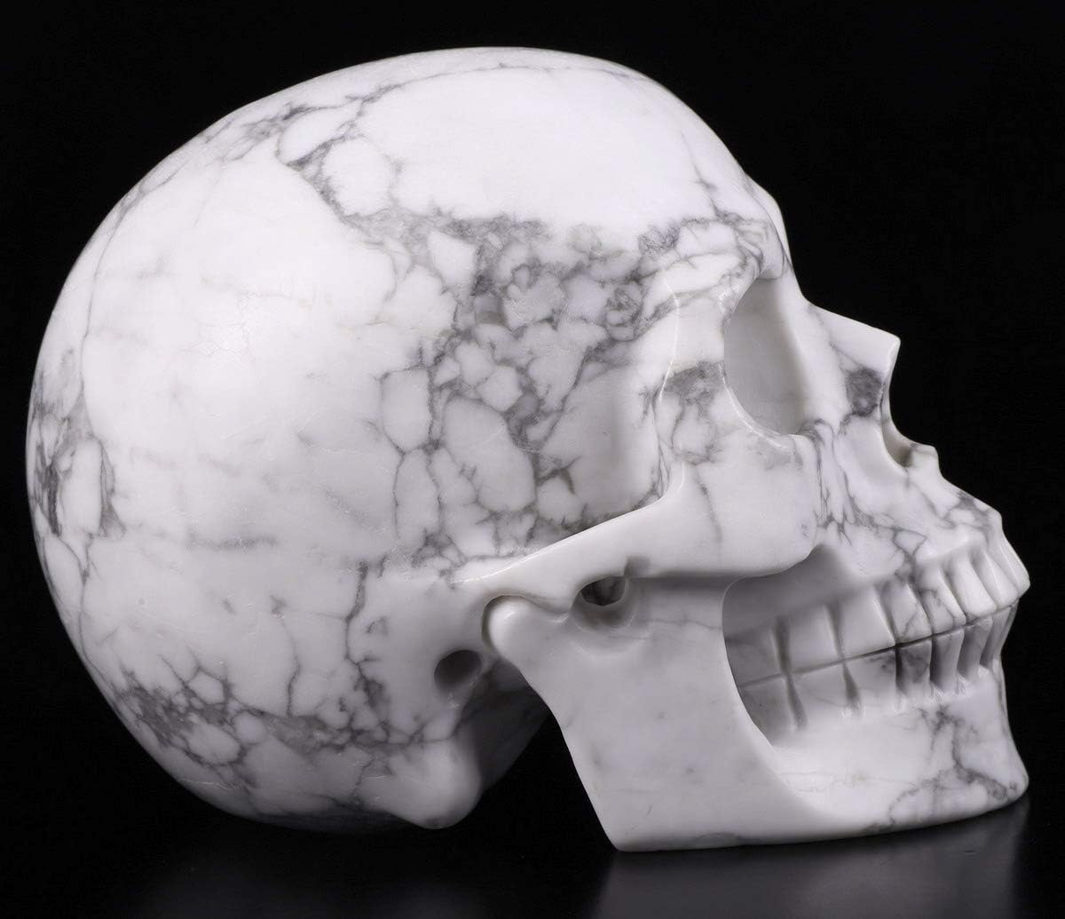 Skullis 5.0" Howlite Crystal Skull, Hand Carved Gemstone Fine Art Sculpture, Reiki Healing Stone Statue.