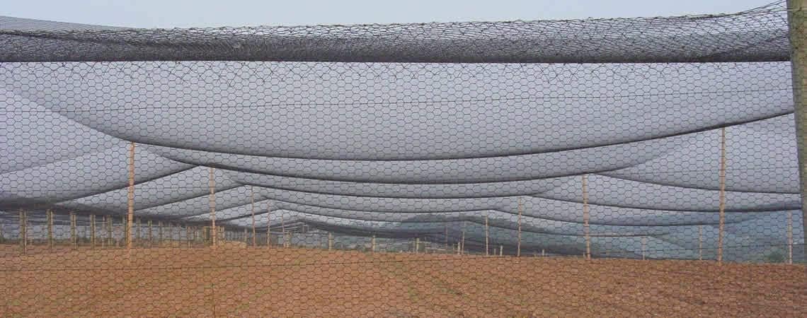 Poultry Netting 1" or 2" Mesh Heavy Knotted Nets Aviary Gamefowl Quail Chicken Bird Block Net Long Lasting Break/Burst 85/245 lb Polyethylene 8-10 Year Lifespan (25' X 100', 1)