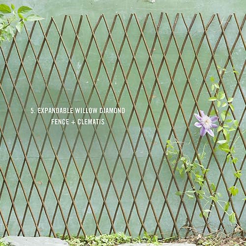 Natural Lattice Willow Trellis Fence for Climbing Plants,Expandable Garden Fence Wall Panel, Outdoor Decorative Wood Fence (1 Pieces)