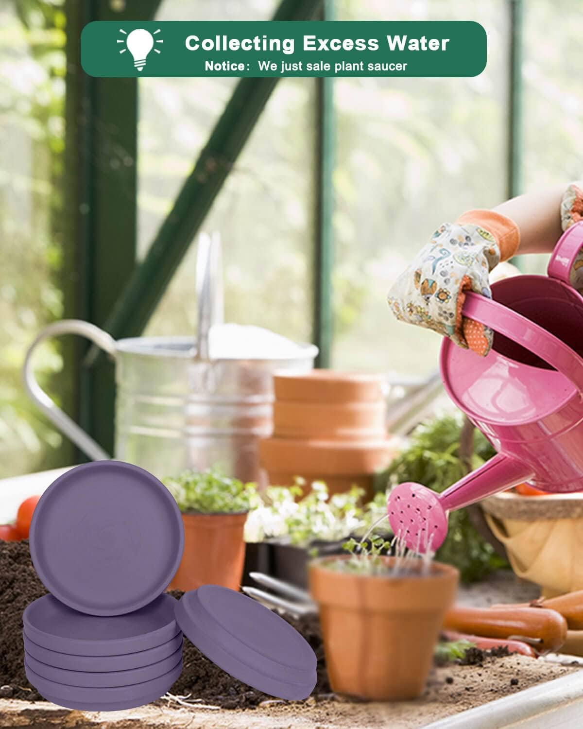 vensovo 6 Inch Purple Terracotta Plant Saucer Pots Tray - 6 Pcs Round Planter Saucers for Indoor & Outdoor Plants, Small Clay Trays Perfect for 5 Inch 5.5 Inch 6 Inch Flower Pot