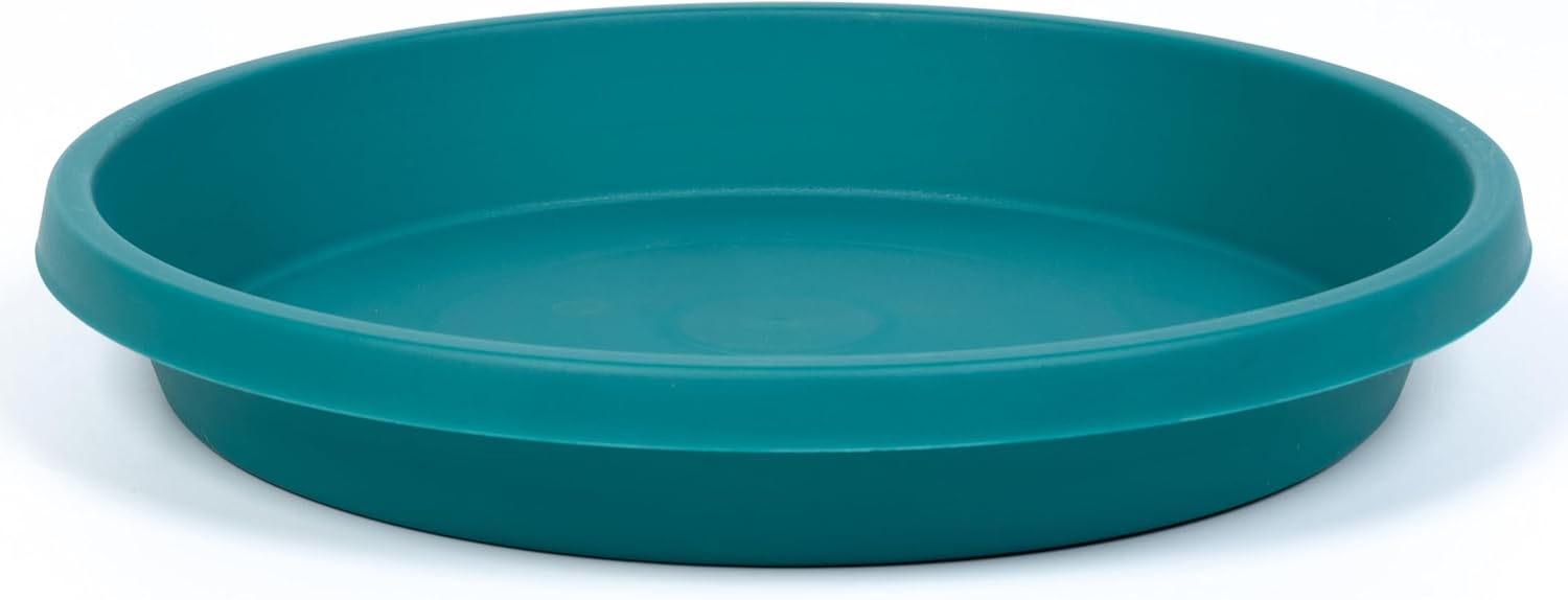 Plant Saucer 8inch 2 Pack