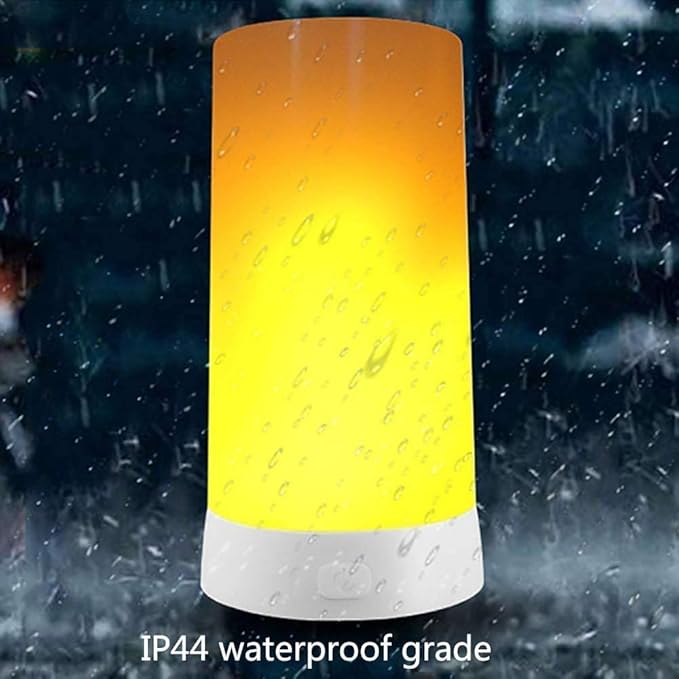 Led Flame Light,USB Rechargeable LED Fire Candles Outdoor Hanging Lamps with Remote for Home Party Halloween Christmas Decoration (Warm White)