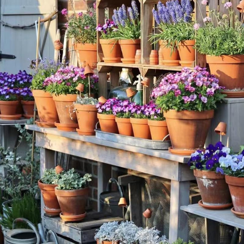 Fcacti 6.5 inch Large Terra Cotta Plant Saucers, Round Pot Drip Trays,Durable Thicker Clay Plant Tray Flower Pot Saucers for Outdoors Indoors Flower Pots and Planters,Pack of 7