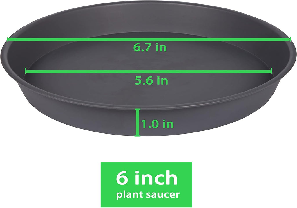 6 Pack Planter Saucer Tray Gray, 4 6 8 10 12 13 15 17 19 inch Pot Saucers, Heavy Duty Plastic Plant Saucers for Indoors, Plant Drip Tray, Plant Trays for pots Planter (6 inch, Cement)