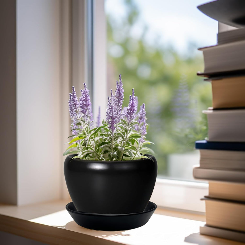 4 Pack of Plant Saucer, 5 inch Glazed Ceramic Plant Tray, Deep Drainage Tray for 4 Inch Flower Pot,Plant Dish Plate to Catch Water for Indoor & Outdoor