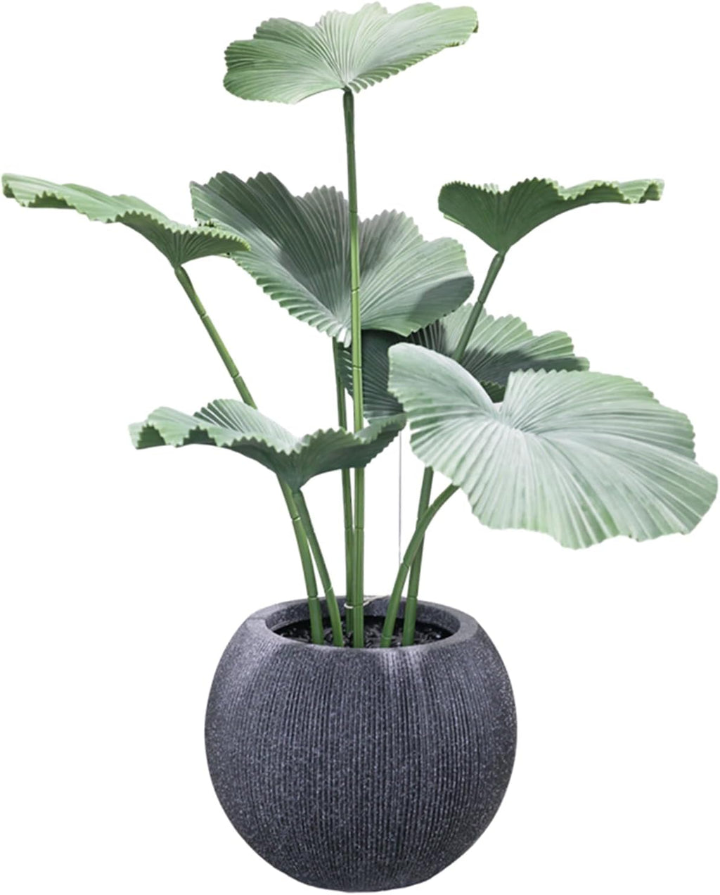 11.8 H x 14.5" Dia (10" Pot Opening) Plastic Round Black Planters for Outdoor Plants, Resin Flower Pot for Indoor and Outdoor Plants, Plant Pot with Drainage Holes and Plug for Home Patio Garden