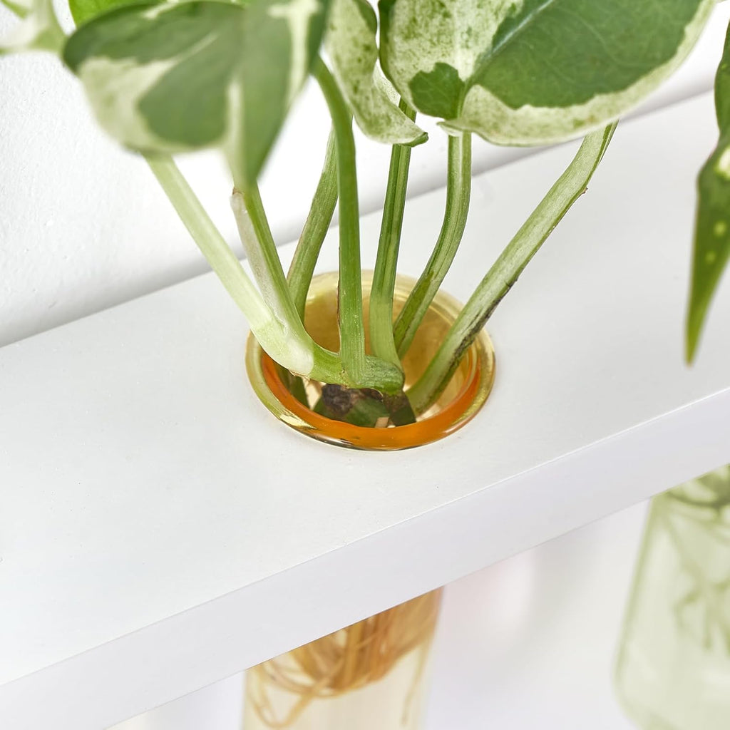 Mkono Plant Propagation Tubes, 3 Tiered Wall Hanging Terrarium with Wooden Stand Test Tube Flower Vase Glass Planter Stations Home Office Decor Plant Lover Gift, White