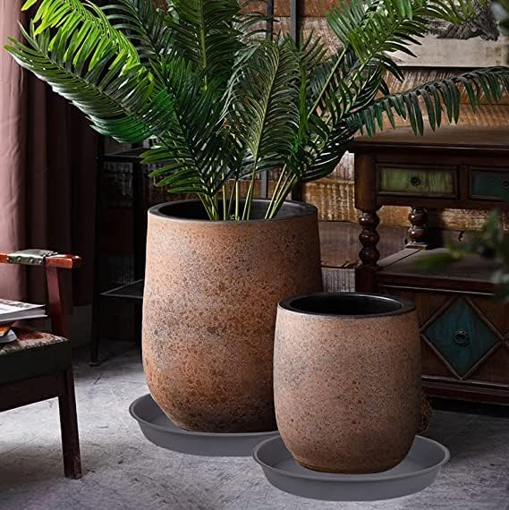 6 Pack of 12 inch Plant Saucer Gray, Heavy Duty Plastic Plant Saucer 12 inch Round, Durable Plant Tray for Pots, Flower Saucers for Indoors, Plant Trays for Planter 11"/12" (12", Cement Gray)