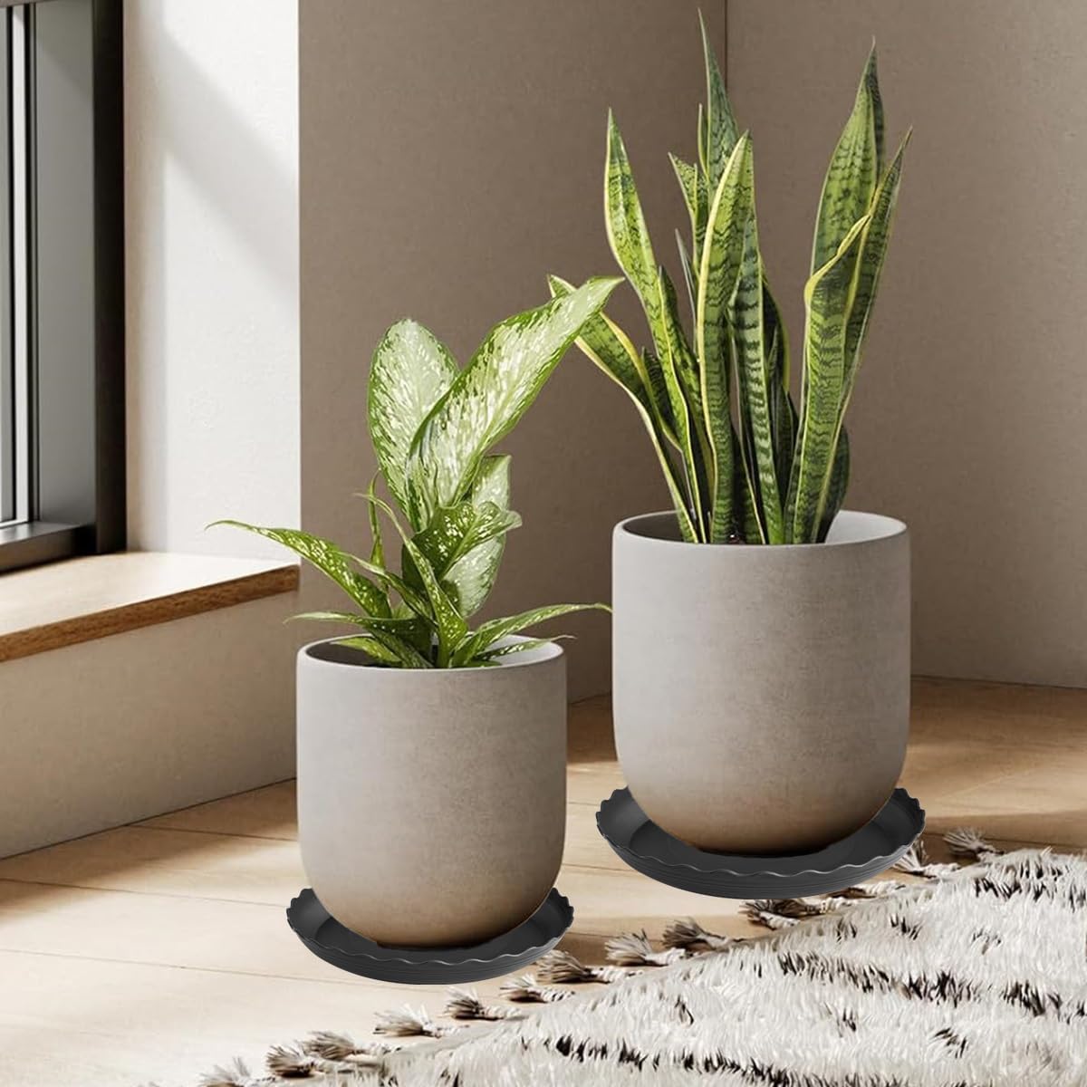 6 Pack Plant Saucer 10 inch, Heavy Duty Plastic Plant Saucers, Durable Plant Tray for Pots, Flower Saucers for Indoors, Plant Pot Saucers, Trays for Planter (Black)