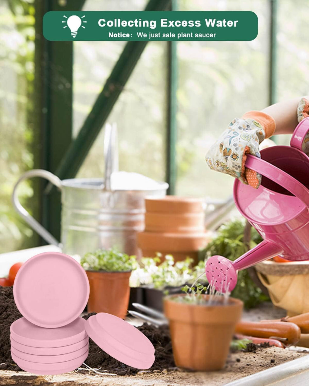 vensovo 6 Inch Peach Pink Terracotta Plant Saucer Pots Tray - 6 Pcs Round Planter Saucers for Indoor & Outdoor Plants, Small Clay Trays Perfect for 5 Inch 5.5 Inch 6 Inch Flower Pot